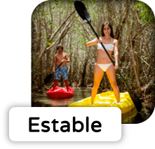 Caribbean Kayak es estable